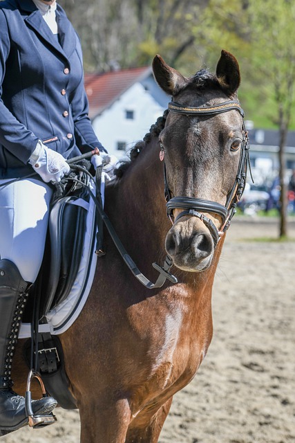 赢得多个国 赢得多个国