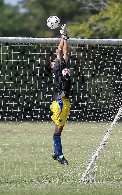 与内线球员 与内线球员