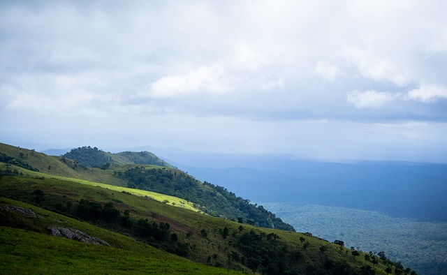 了一时的赞 了一时的赞